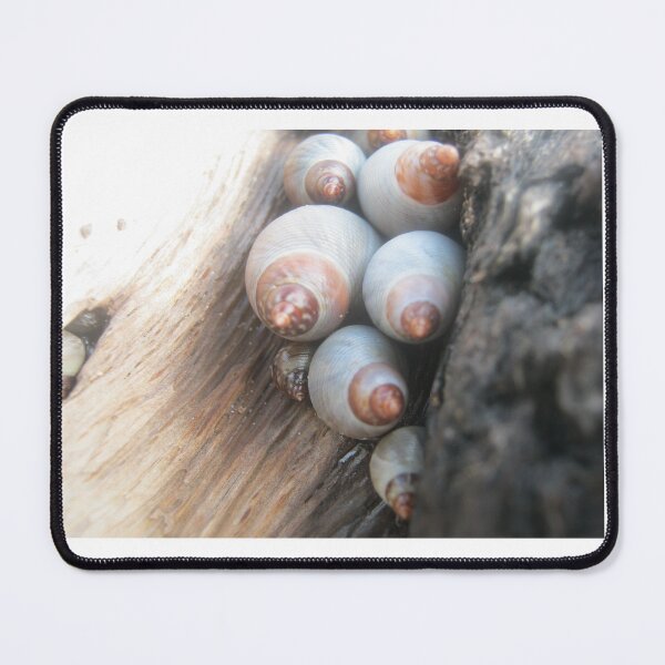 Item preview, Snail huddle designed and sold by Daerohel.