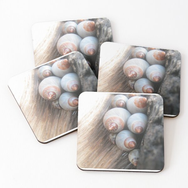 Item preview, Snail huddle designed and sold by Daerohel.