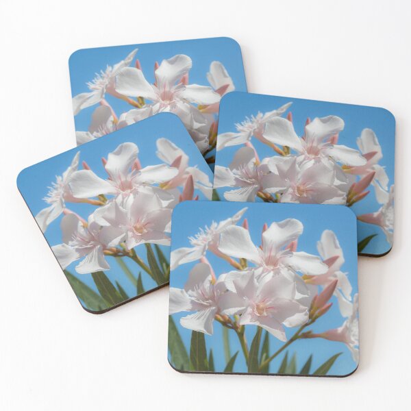 Item preview, Soft White Blooms designed and sold by Dave Hare Photography.