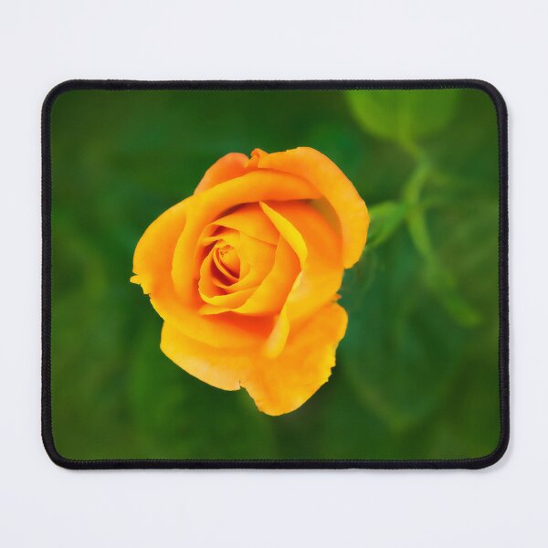Item preview, Peach Rose designed and sold by Dorset Girl.