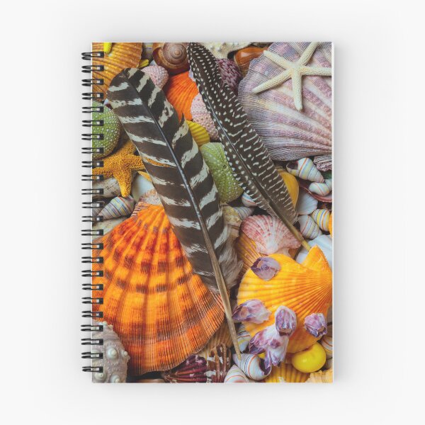Item preview, Feathers And Seashells designed and sold by Garry Gay.