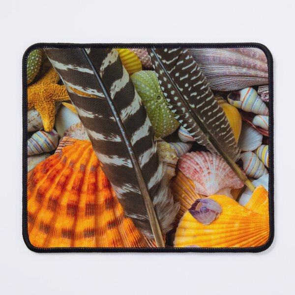 Item preview, Feathers And Seashells designed and sold by Garry Gay.