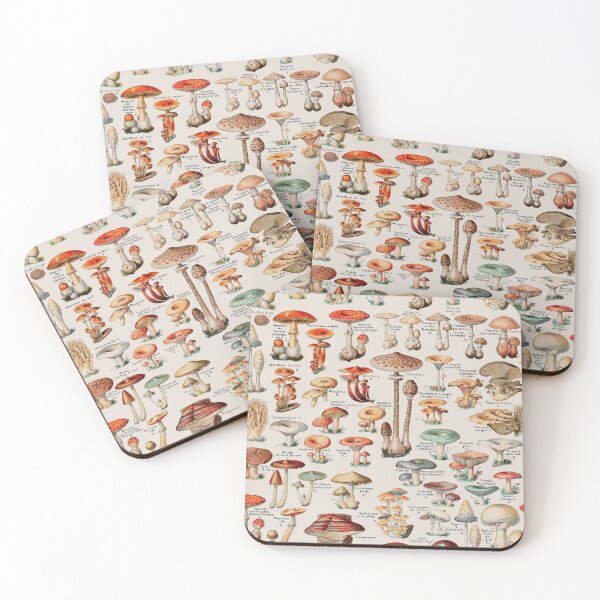 Item preview, Vintage Mushroom Fungus Illustration I designed and sold by VintageArchive.