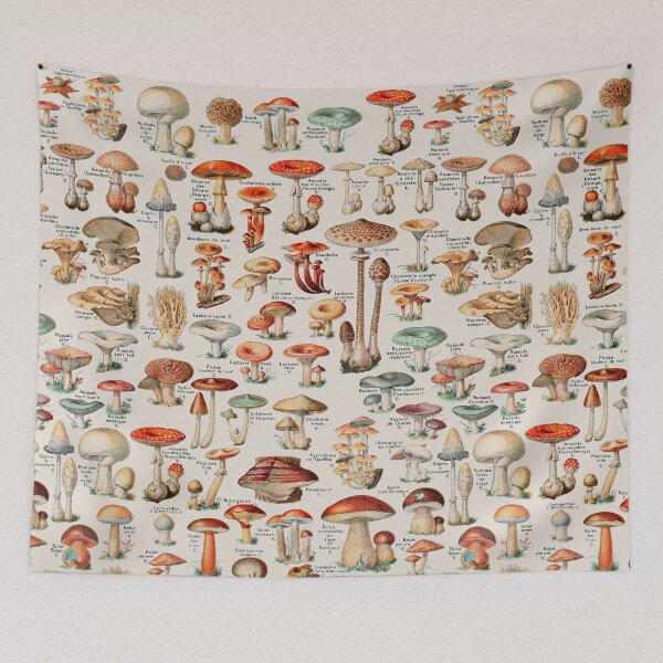 Item preview, Vintage Mushroom Fungus Illustration I designed and sold by VintageArchive.