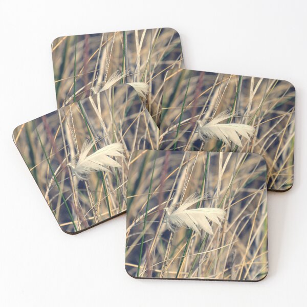 Item preview, A white Feather  designed and sold by Tonia Delozier's Photography .