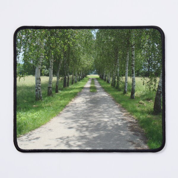 Item preview, Dirt road along flowering birches // designed and sold by Lillrose.