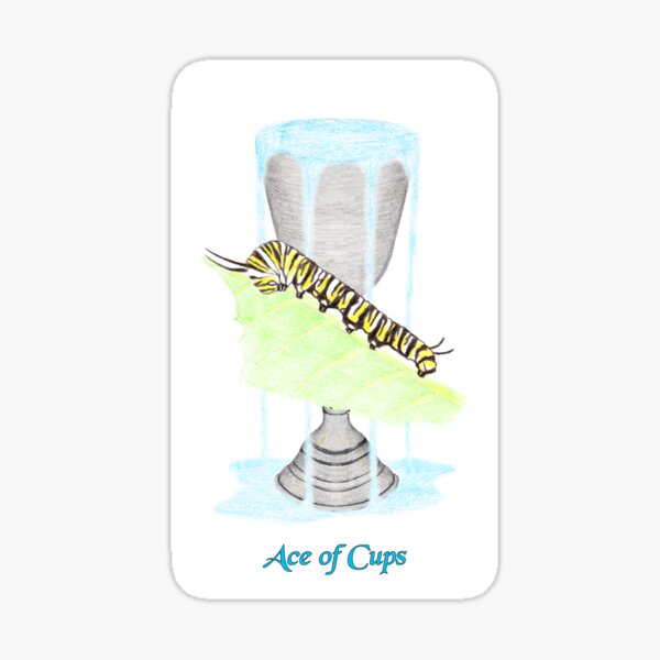 Ace of Cups Sticker