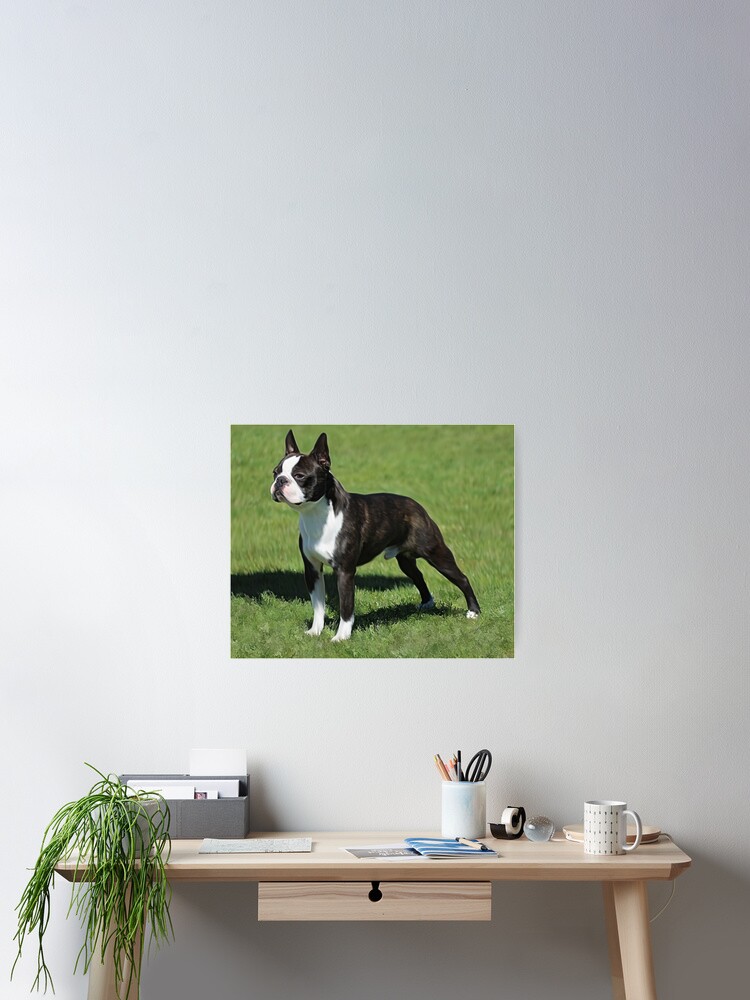 Ernie Poster