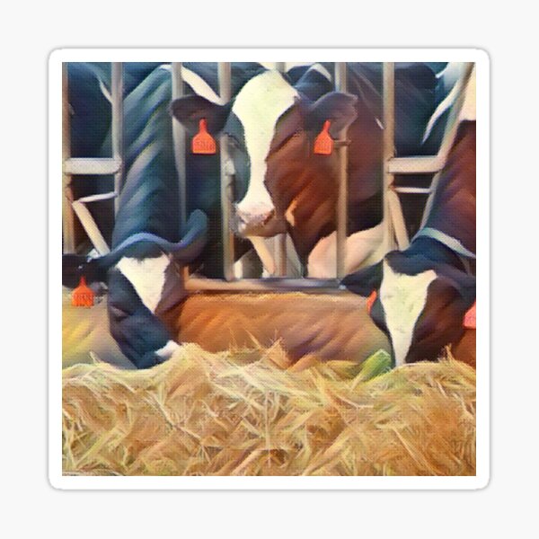 Vista previa del artículo con la obra «Pintura de vacas lecheras en blanco y negro comiendo heno», diseñado y vendido por FarmsteadAcers.