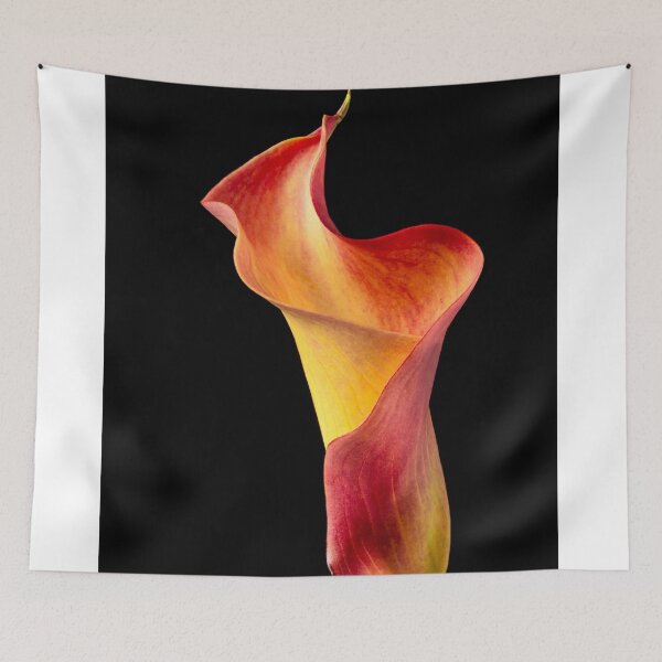 Item preview, Twisted Shapely Calla liliy designed and sold by Garry Gay.