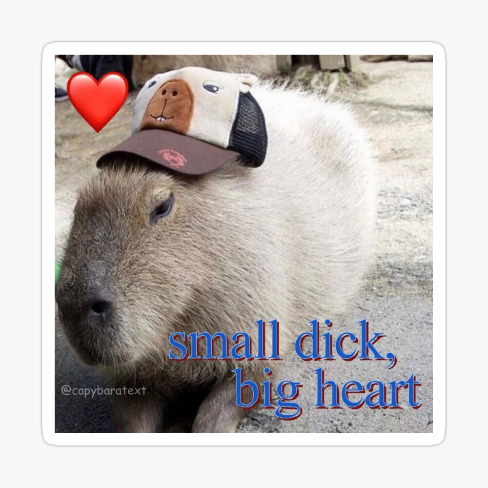 Small Dick, Big Heart Capybara Meme | Sticker