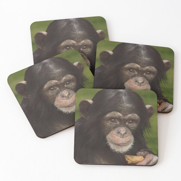 Item preview, Baby Chimpanzee with a Snack designed and sold by richardbryce.