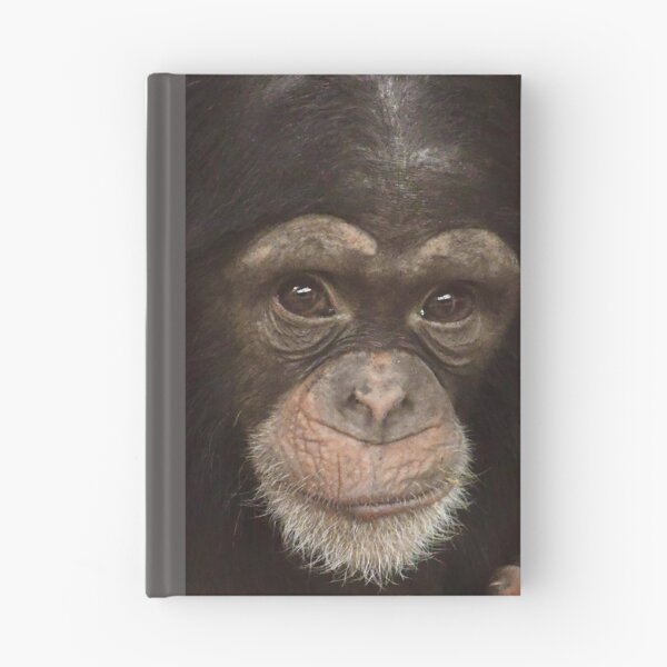 Item preview, Baby Chimpanzee with a Snack designed and sold by richardbryce.