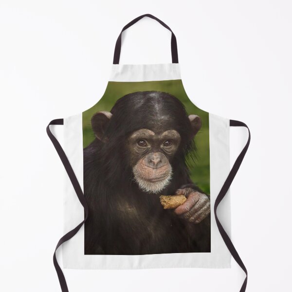 Item preview, Baby Chimpanzee with a Snack designed and sold by richardbryce.