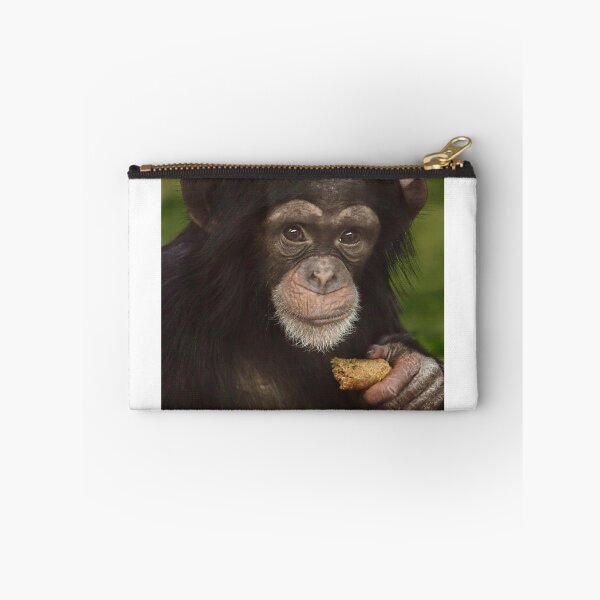 Item preview, Baby Chimpanzee with a Snack designed and sold by richardbryce.