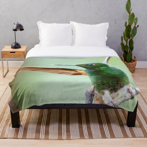 Item preview, Buff-Tailed Coronet Bird designed and sold by Peeks of Nature.