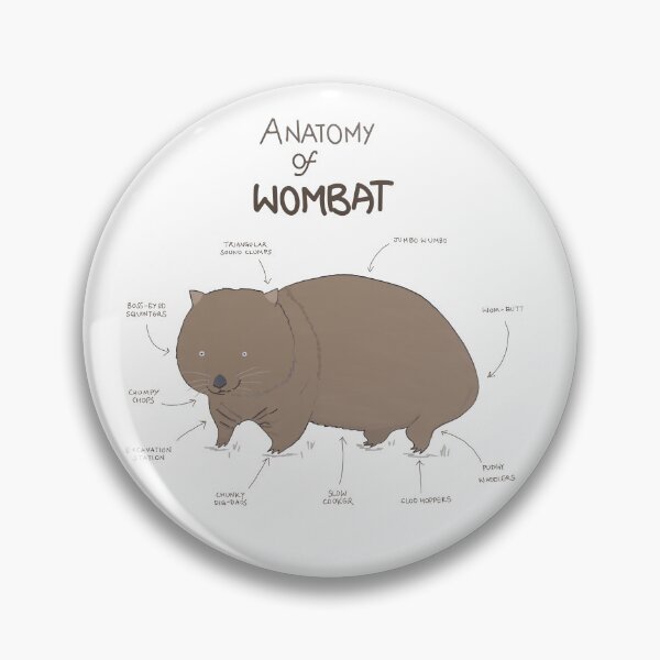 Item preview, wombat anatomy designed and sold by BHAVANI REDDY.