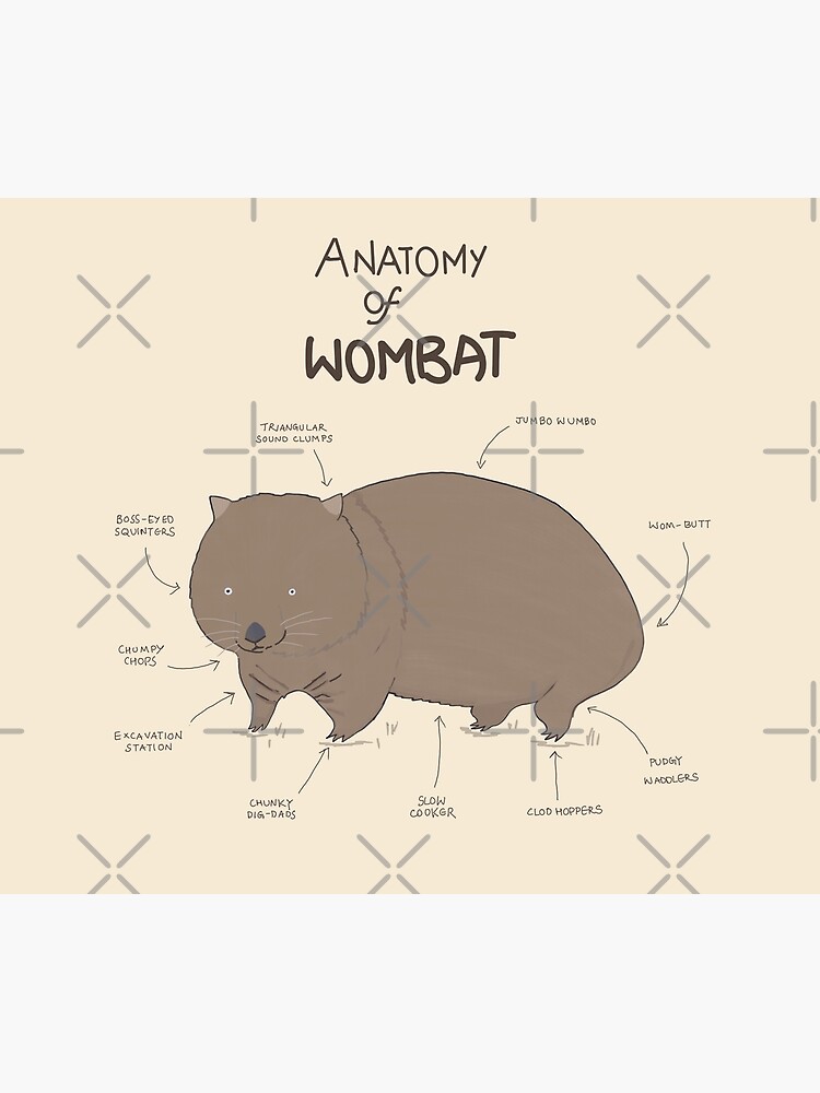 Imagen 2 de 2, Funda nórdica con la obra anatomía del wombat, diseñada y vendida por R-Y-T-H-M.