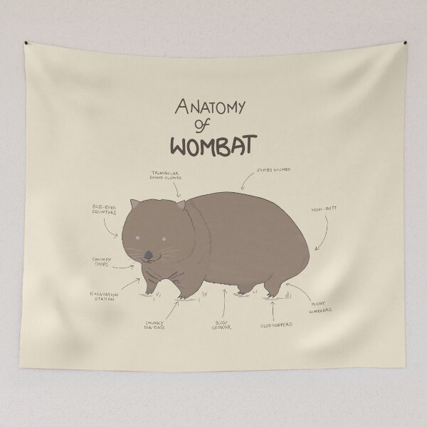 Item preview, wombat anatomy designed and sold by BHAVANI REDDY.