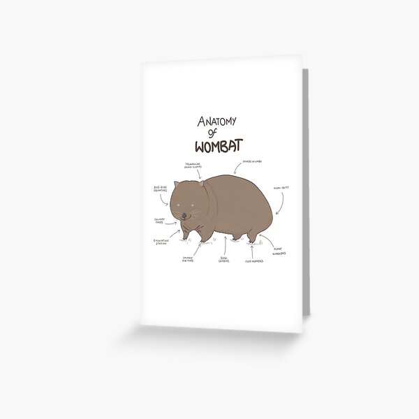 Item preview, wombat anatomy designed and sold by BHAVANI REDDY.