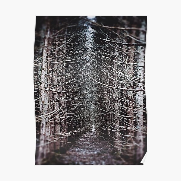 The Forest Poster