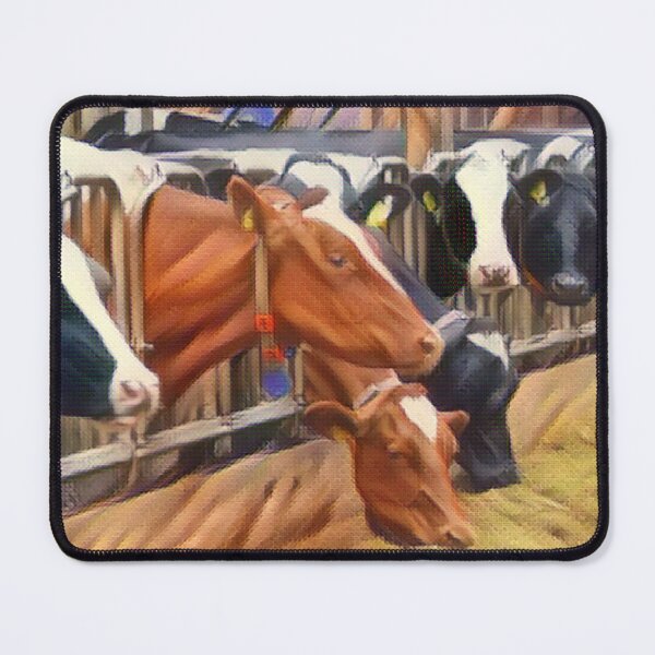 Item preview, Brown black and white cows eating hay at dinner time designed and sold by FarmsteadAcers.