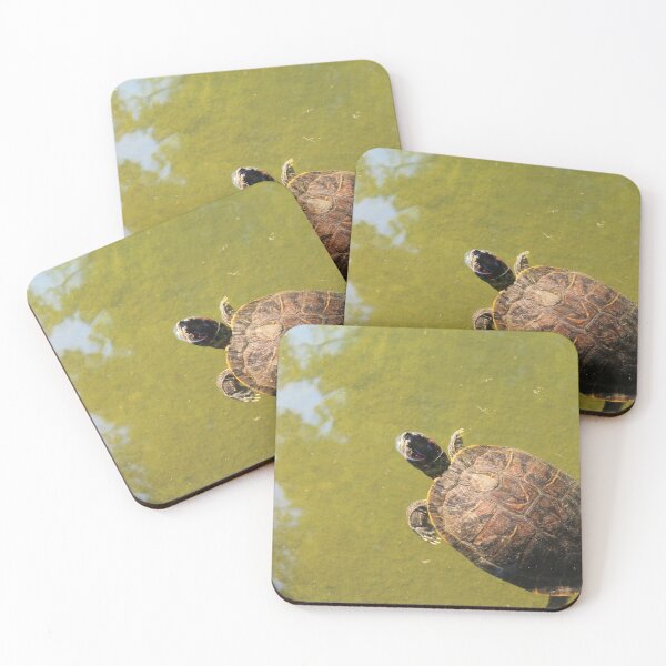 Item preview, Tortoise designed and sold by Thomas Halouva.