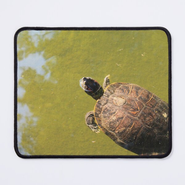 Item preview, Tortoise designed and sold by Thomas Halouva.