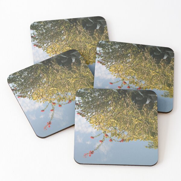 Item preview, Pond Reflection designed and sold by Thomas Halouva.