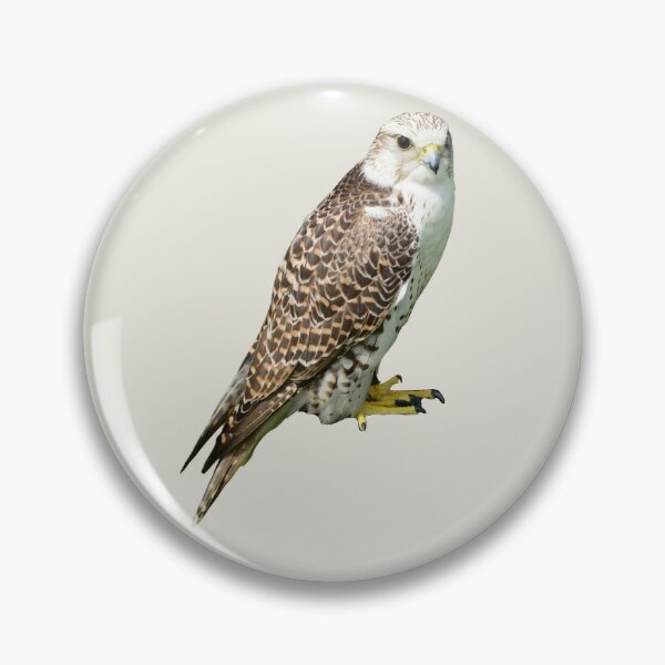 Item preview, Peregrine Falcon designed and sold by RainbowSpinkle.