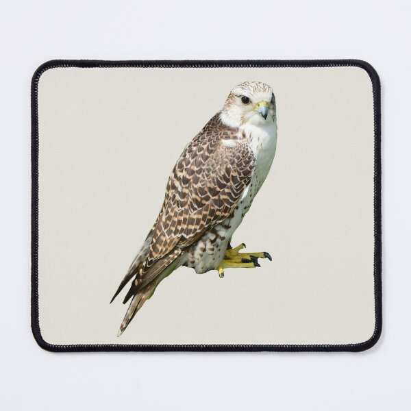 Item preview, Peregrine Falcon designed and sold by RainbowSpinkle.