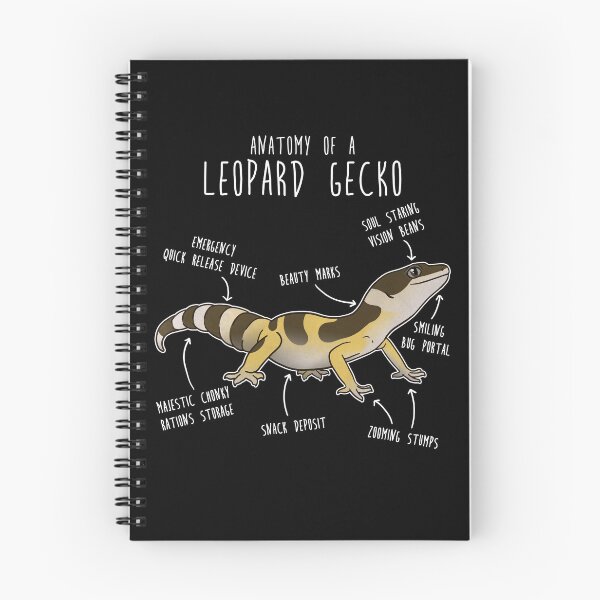 Item preview, High Yellow Jungle Leopard Gecko Lizard Reptile Anatomy designed and sold by Clara Hollins.