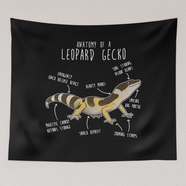 Item preview, High Yellow Jungle Leopard Gecko Lizard Reptile Anatomy designed and sold by Clara Hollins.