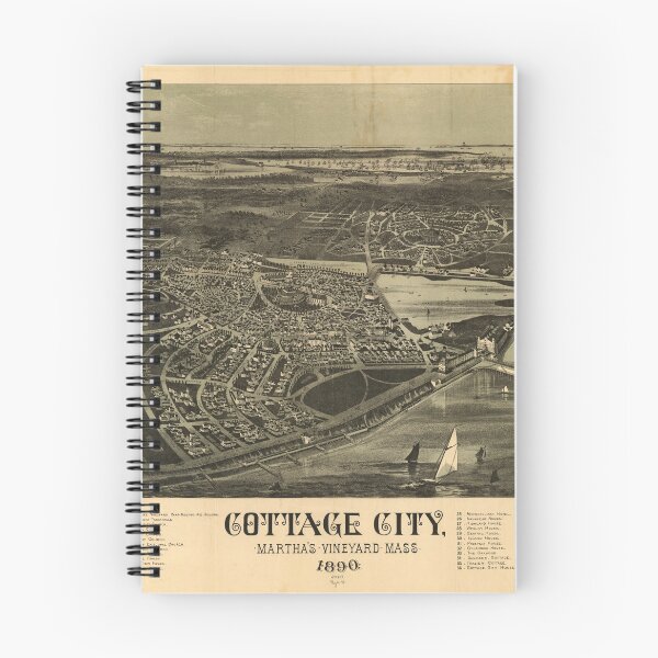 Item preview, Aerial View of Cottage City (Oak Bluffs), Massachusetts (1890) designed and sold by allhistory.