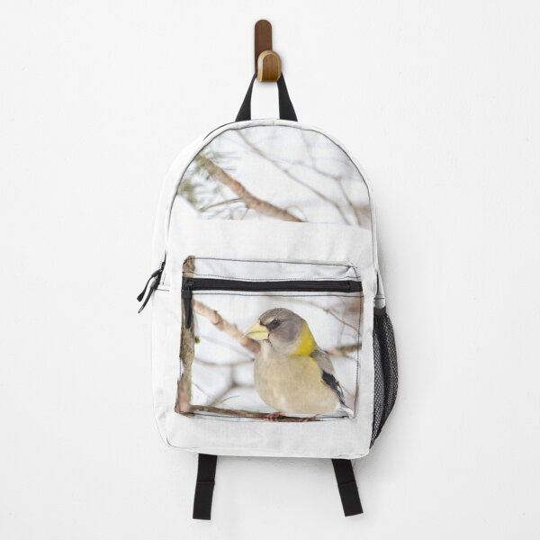 Item preview, Female Evening Grosbeak in Winter designed and sold by June Krisko.