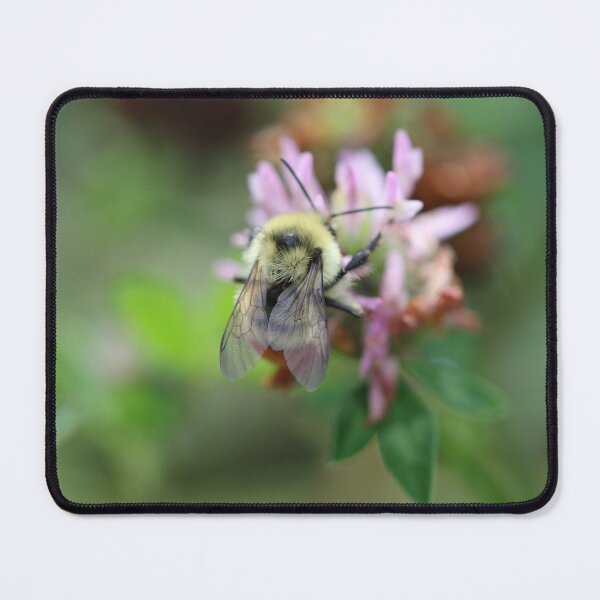 Item preview, Clover Visitor designed and sold by Gralyn Boyd.