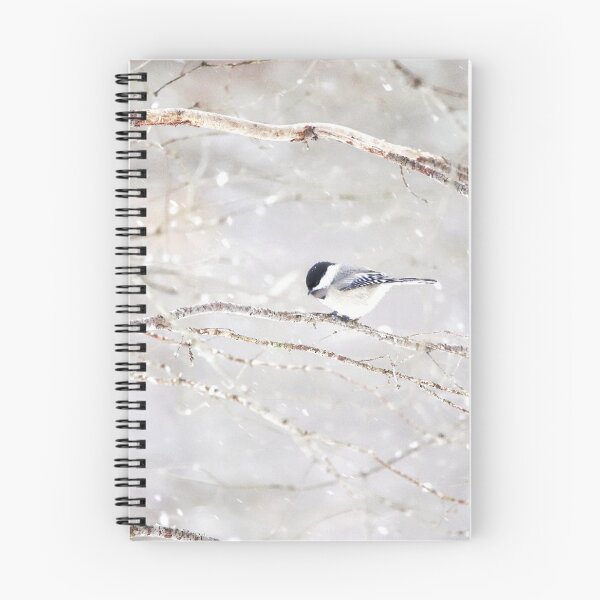 Item preview, Black-capped Chickadee in the Winter designed and sold by June Krisko.