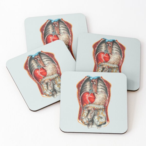 Item preview, scientific illustration designed and sold by Melss-jpg.