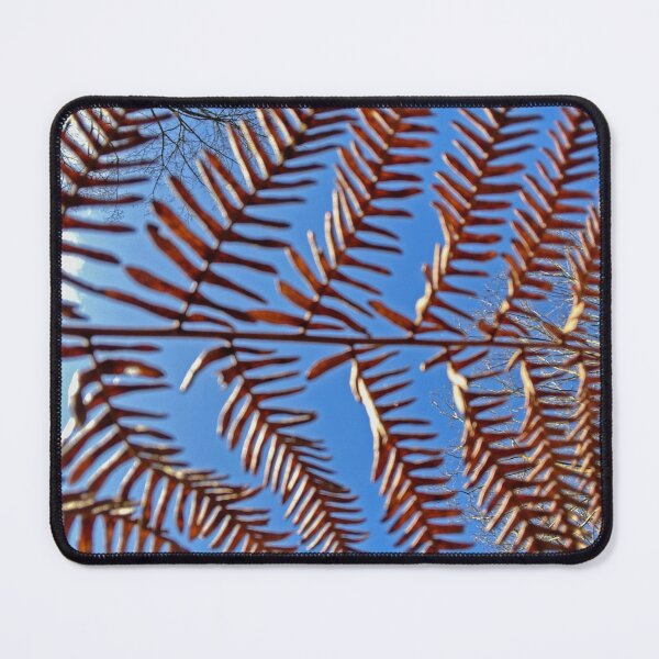 Item preview, Fern leaf viewed from below designed and sold by Paddyb17.