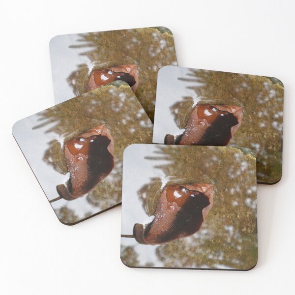 Item preview, Falling Up designed and sold by Rebekah  McLeod.