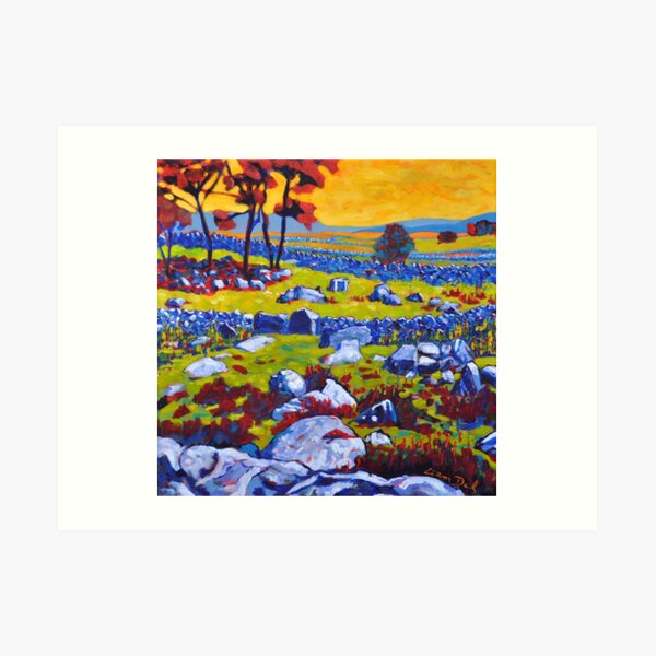 Connemara Field, Galway, Ireland Art Print