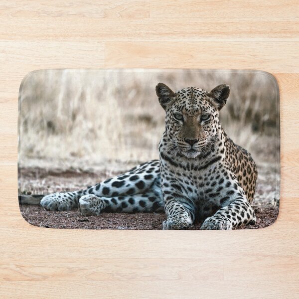 Item preview, African Leopard designed and sold by Daniel Hagerman.