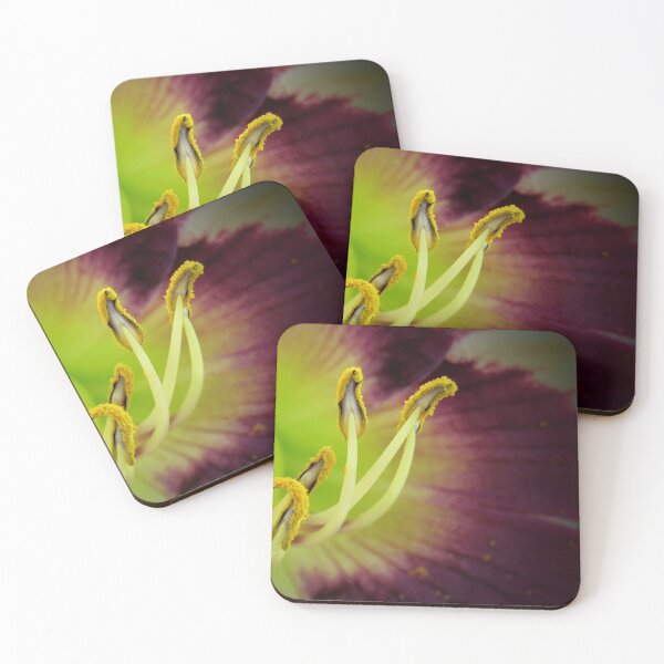 Item preview, A bees View designed and sold by Tonia Delozier's Photography .