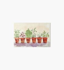 Herbs - Inside or outside? Art Board