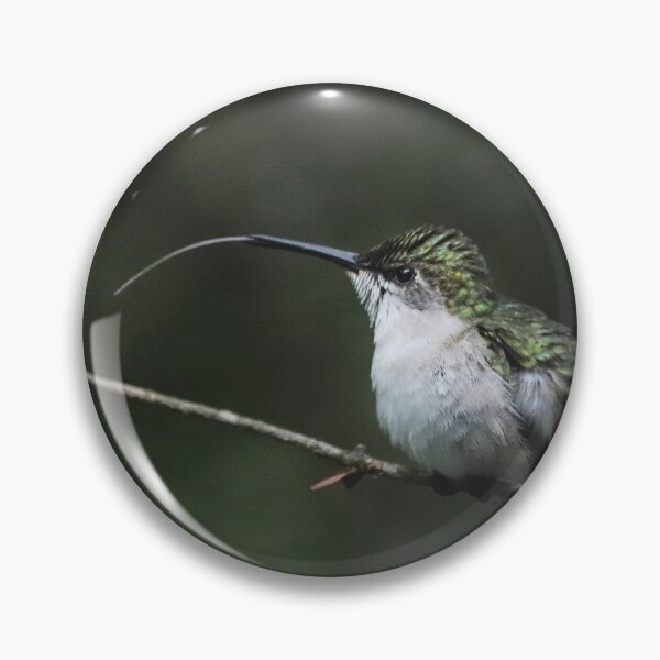 Item preview, Female Ruby-throated Hummingbird  designed and sold by June Krisko.