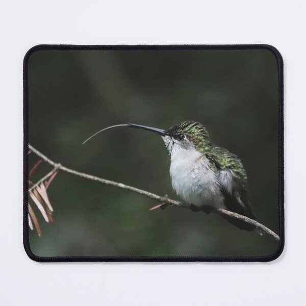 Item preview, Female Ruby-throated Hummingbird designed and sold by June Krisko.