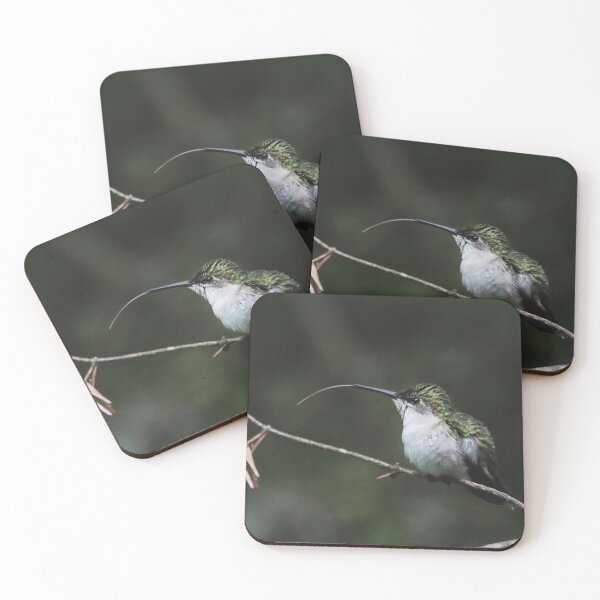 Item preview, Female Ruby-throated Hummingbird  designed and sold by June Krisko.