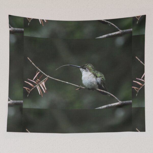 Item preview, Female Ruby-throated Hummingbird  designed and sold by June Krisko.