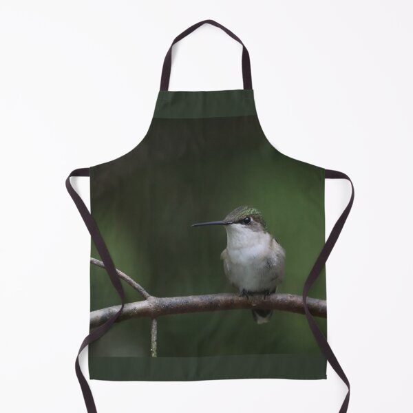 Item preview, Female Ruby-throated Hummingbird designed and sold by June Krisko.