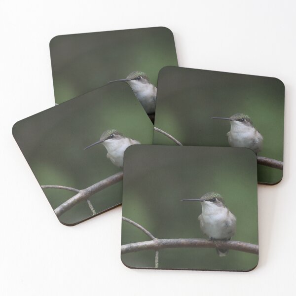 Item preview, Female Ruby-throated Hummingbird designed and sold by June Krisko.